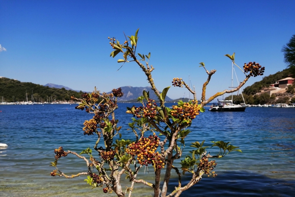 Catamaran Holidays Greece