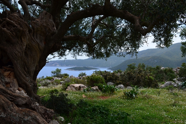 Walking Holidays in Greece