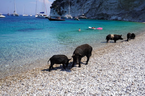 Catamaran Holidays Greece